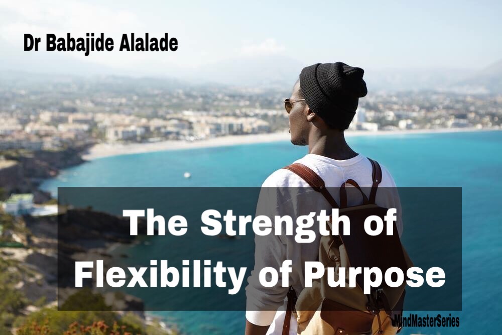 The Strength of Flexibility of Purpose